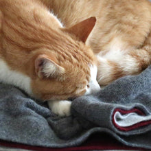 Load the image into the gallery viewer, pet cashmere Premium cosy blanket for pets made of wool and cashmere