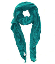 Load the image into the gallery viewer, Pin1876 Cashmere Scarf