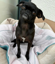 Load the image into the gallery viewer, pet cashmere Premium cosy blanket for pets made of wool and cashmere