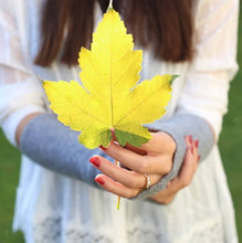 Laden Sie das Bild in den Galerie-Viewer, engage Kaschmir Armstulpen Handwärmer
