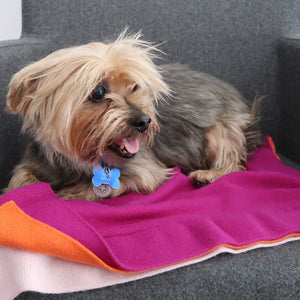 pet cashmere cashmere-wool mix blanket